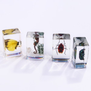 Trong Suốt Handmade Côn Trùng Mẫu Côn Trùng Paperweights Động Vật Bọ Cạp Côn Trùng Trong Nhựa Bug Mẫu Vật Cho Khoa Học Hiển Thị - Product Image 4