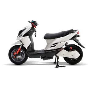 2022 Equipment Professional Brushless Motor Dual Disk Brake Aluminum Alloy 12 Inch 1500W Electric Scooter