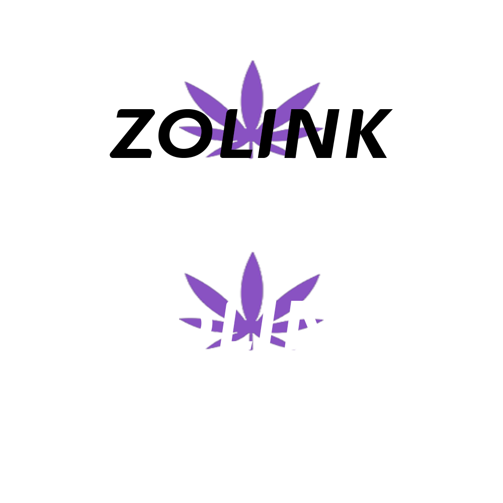 Dongguan Zolink Craftworks Co., Ltd. logo