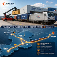 Firebird.China.To.Netherlands.Railway.Freight.FBA.DDP.Door.To.Door.Delivery.Professional.Logistics.Solution