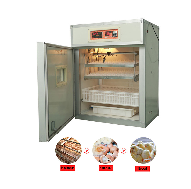 Tunisia Egg Incubation Price