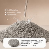 Litière pour chat en bentonite de sodium naturelle, sans poussière, agglomération instantanée, super désodorisant, directement de l'usine