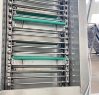 200kg/uur productielijn voor aardappelchips: wassen, schillen, snijden, frituren, kruiden, verpakken, industriële snackvoedselverwerkingsmachine