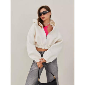Sudadera con capucha de gimnasio de moda con cremallera de gran tamaño Sudadera con capucha en blanco/sudadera Suéter informal Colores sólidos Sudadera con capucha en blanco de algodón para mujer - Product Image 3
