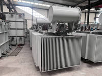 Transformateur de distribution immergé dans l'huile sur mesure 10kV 33kV, groupe vectoriel Dyn11, triphasé 50Hz 60Hz pour ferme solaire