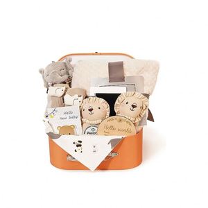 Panier cadeau de naissance 2024 avec couverture, hochet pour bébé, jouet éléphant, chaussettes – Vente en gros usine – Coffret cadeau nouveau-né pour bébés filles et garçons - Product Image 1