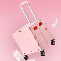 Chariot de Courses Pliant Portable en Plastique et Fer pour Femme, Organisateur de Rangement Pliable pour Voiture, Épicerie et Marché, Idéal Boutique Cadeaux