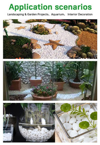 Pierres de rivière, plantes succulentes, <span class=keywords><strong>gravier</strong></span> d'aquarium, vase pour la décoration de la maison, du jardin, du parc, galets décoratifs pour aménagement paysager - Product Image 6