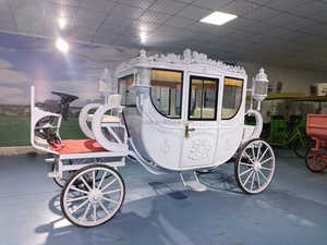 Transport de chevaux royal personnalisé Offre Spéciale avec climatisation et LED transport spécial électrique à la mode - Product Image 3