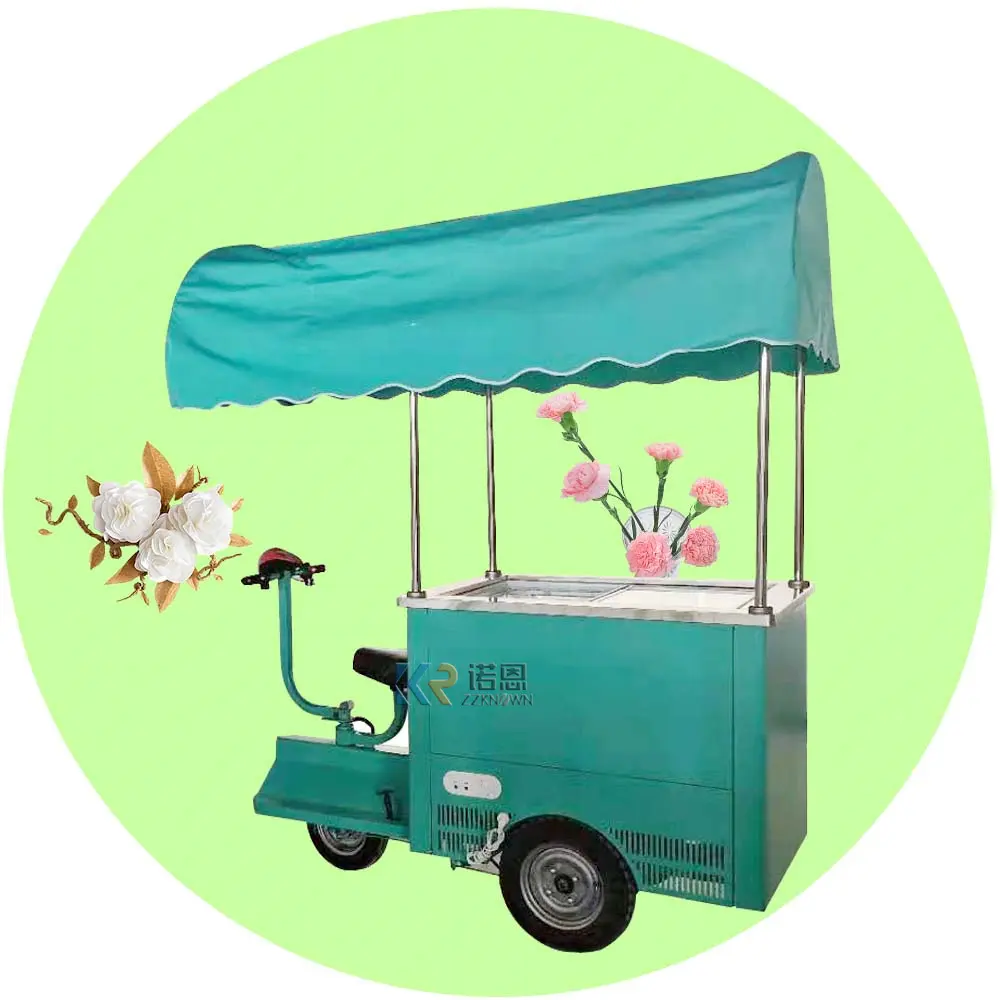 2024 entièrement équipé électrique Mobile alimentaire roulé crème glacée vente Tricycle vélo camion remorque chariot voiture avec roues de congélateur