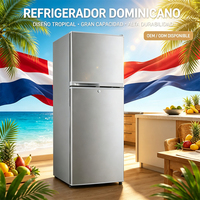Réfrigérateur Américain Double Porte 138L OEM ODM à Congélateur Supérieur, Mini Réfrigérateur Domestique à Commande Électronique