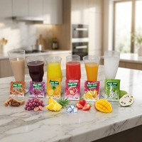 Poudre de boisson instantanée aromatisée aux fruits, 10g pour 2L d'eau, 24 sachets par boîte, 24 boîtes par carton, vente en gros, personnalisable