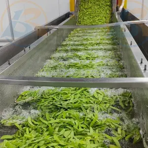 อุตสาหกรรมอัตโนมัติฟองถั่วมะนาวองุ่นเครื่องทำความสะอาดผักและผลไม้เครื่องซักผ้า