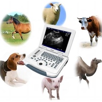 Dawei Portable Bw Machine à ultrasons Ordinateur portable Vet Machine à ultrasons Scanner convexe pour cheval