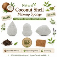 Éponge de maquillage écologique JLY pour débutants et maquilleurs professionnels, en poudre de coque de noix de coco, pour le fond de teint et le correcteur