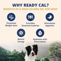 Gel énergétique à haute teneur en calories avec électrolytes pour chiens et chats, en gros OEM/ODM, pour le soutien énergétique et la prise de poids, gel nutritionnel