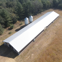 Poulailler moderne en structure acier, ossature en acier galvanisé à chaud haute résistance, personnalisé pour l'élevage de poules pondeuses