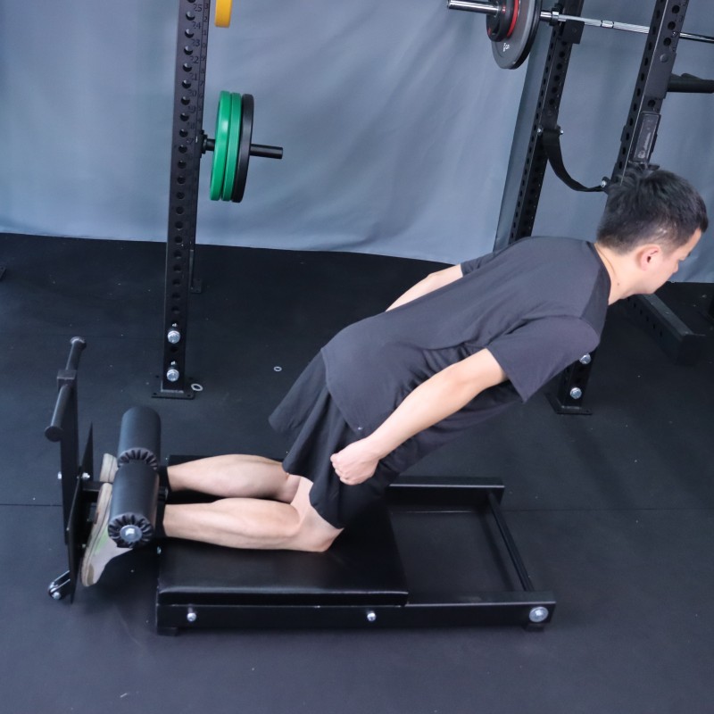 Fitness Mini Glute Ham Developer Machine for Home Gym - OEM