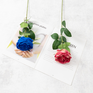 Flores Artificiales de Rosa Austin con Pétalos Suaves, Estándar, Hechas en China, Fondo para Fotografía de Estudio, Decoración para Pasillos de Bodas - Product Image 2