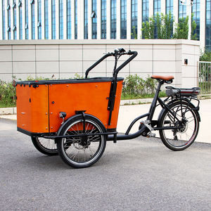 Remorque électrique standard CE E-<span class=keywords><strong>cargo</strong></span> Bike Famille Vélos <span class=keywords><strong>cargo</strong></span> à trois roues avec housse de <span class=keywords><strong>pluie</strong></span> Vélo électrique à 3 roues Sièges pour enfants et bébés - Product Image 2