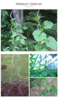 Support en fer spirale pour plantes, mini structure pour tomates et fleurs, treillis de grimpement pour pots