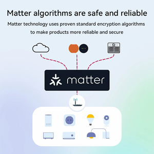 Matter Smart Home Apple Homekit Alexa Google Smarthings pris en charge 16A 2 Way DIY Timer WiFi Breaker Matter Smart Switch On Off - Product Image 4