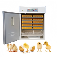 Incubateur automatique industriel d'oeufs de poussins d'armoire pour la ferme avicole de poulet