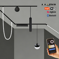 Spot LED linéaire intelligent à intensité variable pour rail magnétique, compatible application Tuya, pour magasin, système d'éclairage sur rail magnétique, Russie