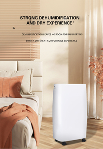 Mini Desiccant <b>Dehumidifier</b> With Air Purifier 30L Capacity R134a Refrigerant Electronic Control for Household Use <b>Dehumidifier</b> - Product Image 6