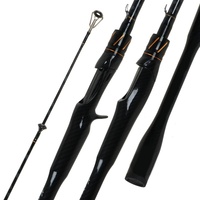 Canne à pêche en carbone FUJI Guide 30T de 1,65 m / 1,8 m / 2,1 m / 2,4 m, canne à pêche de surf, longue canne à lancer pour la pêche au bar, à la perche et au groupé - Prix usine