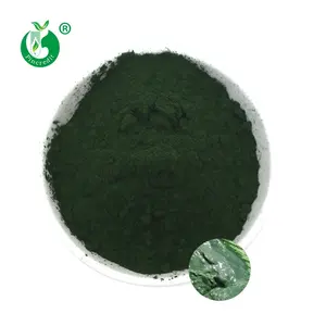 Großhandel Bulk reines natürliches grünes Spirulina-Pulver in Lebensmittel-/Futtermittel qualität zu verkaufen
