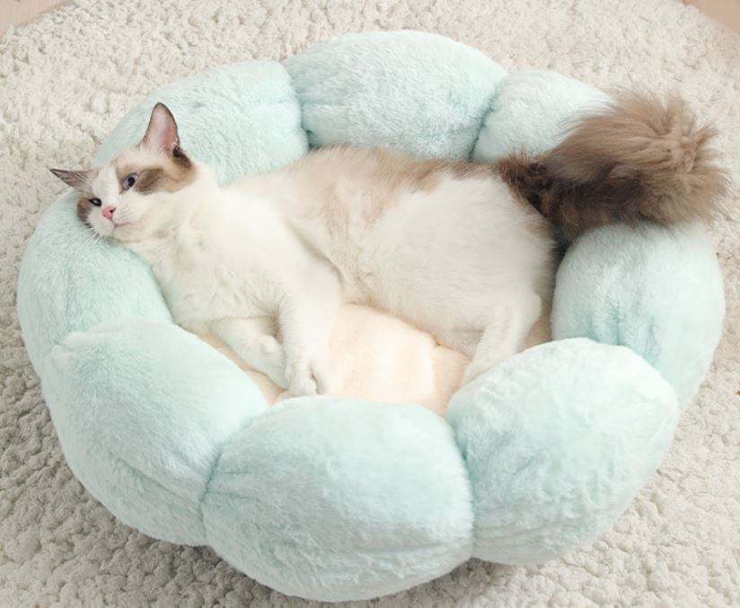 สีเขียวอ่อนด้วย