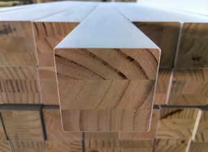 Pj radiata pj radata אורנים מעץ רך - Product Image 3