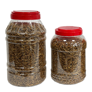 Vers de farine jaunes séchés, riches en protéines, vers séchés pour oiseaux, poissons, nourriture pour animaux de compagnie, insectes comestibles, vers de farine séchés - Product Image 6