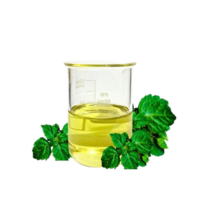 Essence de Patchouli Raffinée avec Arôme Boisé Balsamique pour Fixateur Cosmétique - Product Image 1