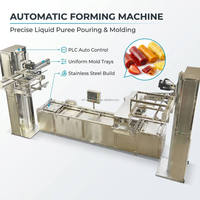 Fruitpuree-maakmachine, grote capaciteit, lange levensduur, multi-brandstof (stoom/elektrisch/gas)