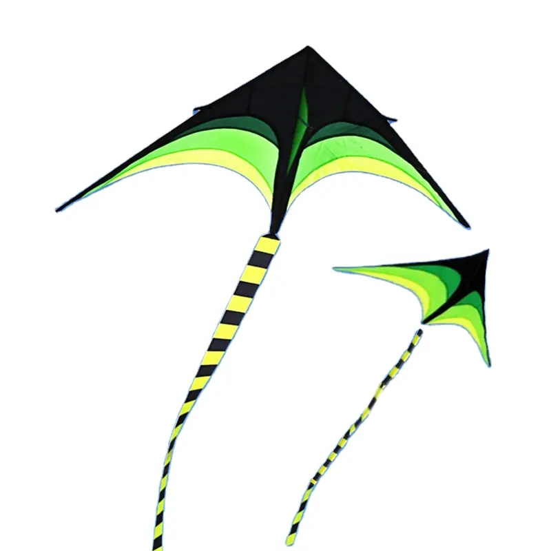 Super Huge Outdoor Fun Educational Gifts Promotional Customized Logo Polyester Kites