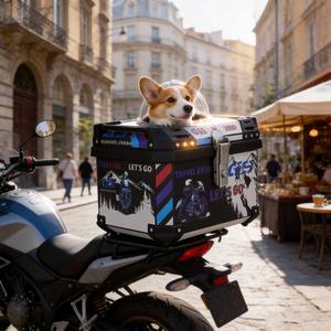 Coffre de moto 55L pour animaux de compagnie, base en PP + acier carbone, charge 60kg, fixation arrière indépendante, cabine sécurisée pour grands chiens, dégagement rapide, vente en gros - Product Image 4