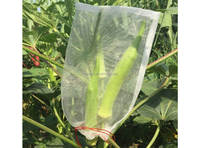 45*30Cm Hoge Kwaliteit Anti Insecten Fruit Net Bescherming Zak Voor Mango, Appel, Dragon Fruit