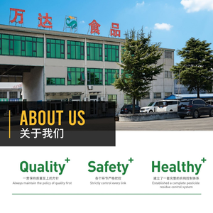 IQF nhanh chóng đông lạnh chất lượng cao Kiwi Trái cây lát bán buôn và bán lẻ 2025 mùa giải mới giá thấp OEM đóng gói tùy chỉnh Hoan Nghênh - Product Image 4