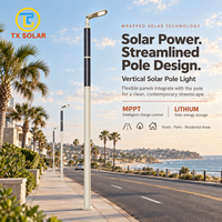 Lampadaire solaire semi-flexible moderne, étanche, à LED, pour routes, jardins et espaces publics
