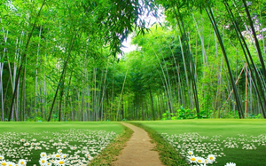 Papier peint mural 3D Paysage Naturel <span class=keywords><strong>Forêt</strong></span> Jungle Bambou Romantique Floral Autocollant Mural Imperméable sur Base de Papier pour Chambre à Coucher Salle à Manger Maison - Product Image 3