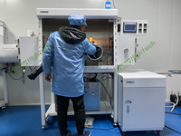 Caja de Guantes para Vacío con Purificación de Gas de Ultra Alta Pureza para Empaquetado de Semiconductores