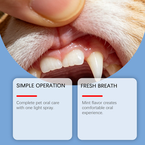 Espuma Dental para Mascotas sin Cepillo, Desodorante Dental Práctico, Spray de Mantenimiento Bucal para Gatos y Perros - Product Image 6