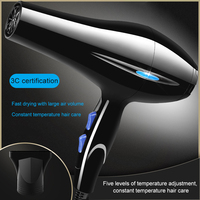 Sèche-cheveux professionnel ionique de qualité salon, 5 vitesses, air chaud et froid, température constante, coiffeur 3-en-1 pour hôtel, camping-car et usage domestique