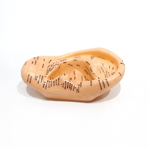 Modèle d'oreille en PVC pour acupuncture, modèle anatomique médical pour points d'acupuncture auriculaires, <span class=keywords><strong>patch</strong></span> auriculaire, massage des zones réflexes - Product Image 4