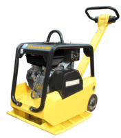 Compacteur à plaques réversibles HUR-300 - Compacteur hydraulique robuste pour sols et asphaltes