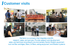 Elemento de Filtro Hidráulico Demalong, Filtración de Precisión de 1-100 Micras, Filtro de Aceite Hidráulico de Fibra de Vidrio/Acero Inoxidable de Calidad Superior - Product Image 4