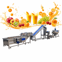 Fabrieks prijs complete volautomatische lijn voor de verwerking van vers fruit sap, drankenproductielijn, drankenafvulmachine