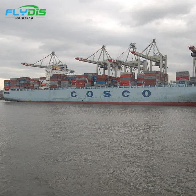 Mar de carga de agente de carga de China a Reino Unido AMAZON FBA puerta a puerta